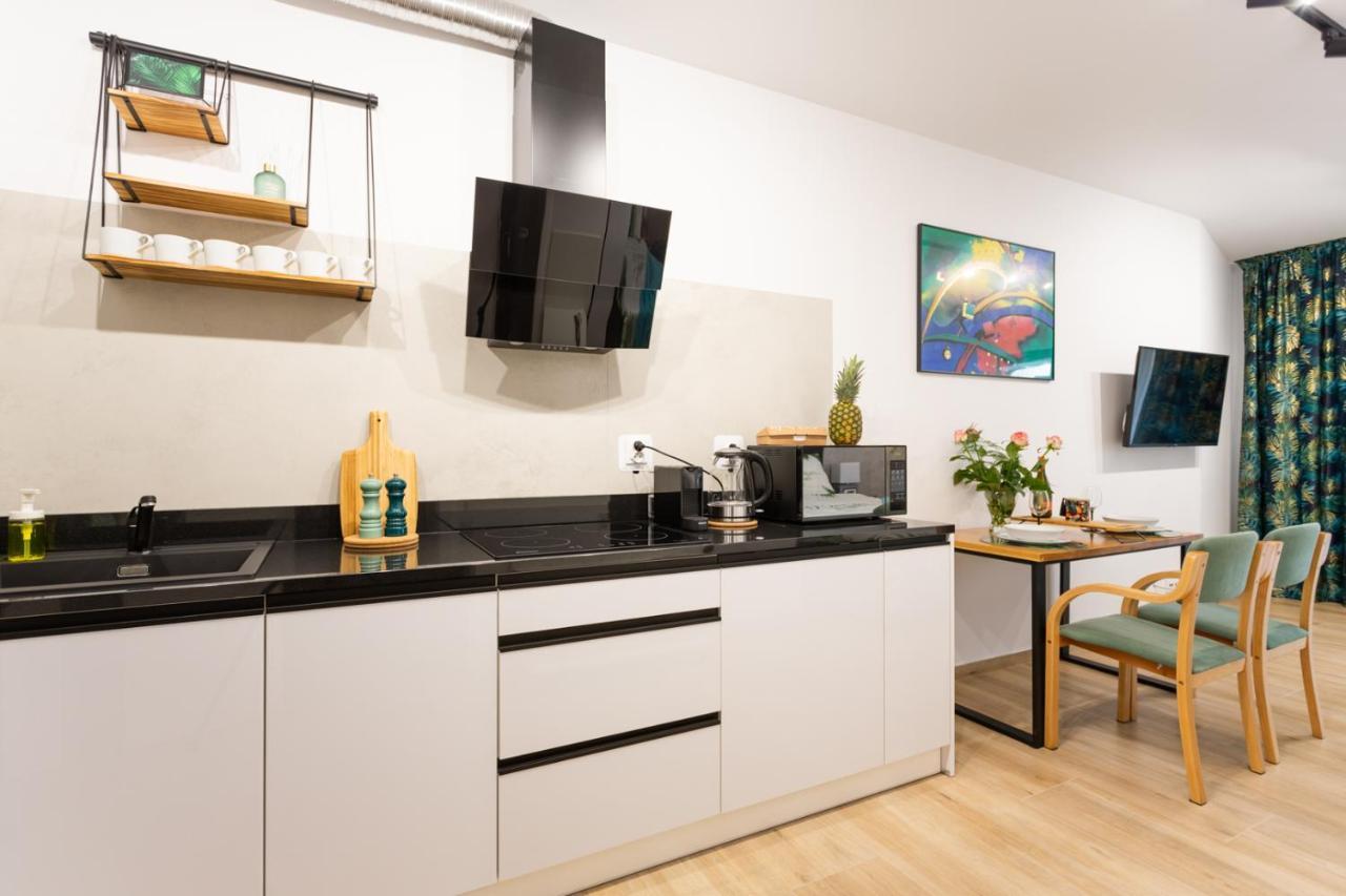 Luxurycity Apartment With Terrace ヴロツワフ エクステリア 写真